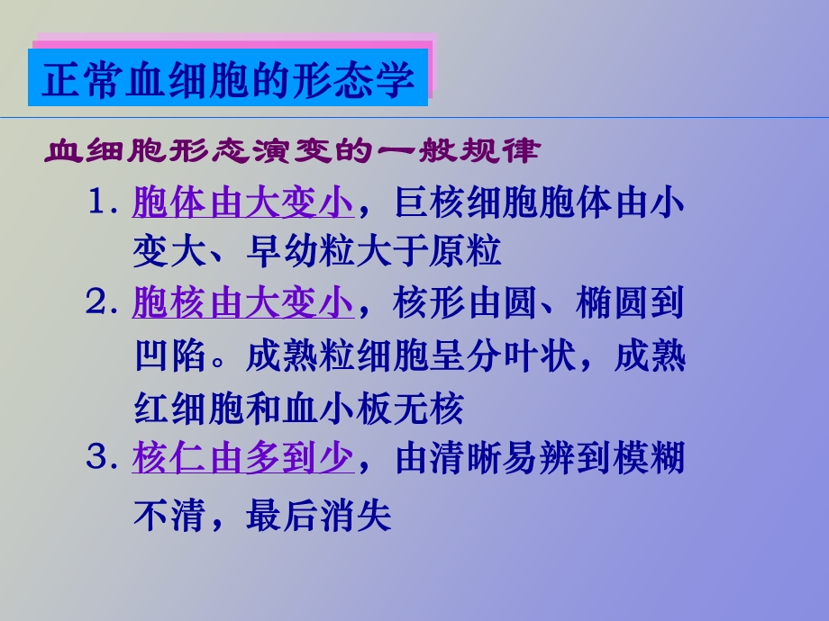 正常血细胞形态.ppt_第3页