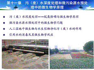 污废水深度处理和微污染源水预处理中的微生物学原理.ppt