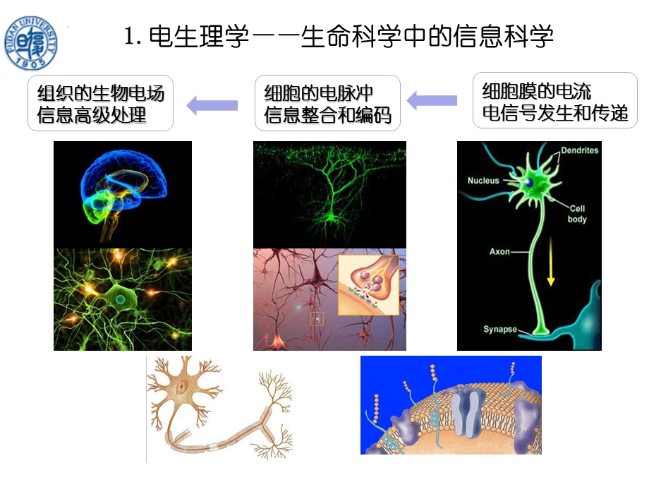 课件—国家重点实验室最新电生理技术课件.ppt_第2页