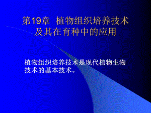 植物组织培养技术及其在育种中的应用.ppt