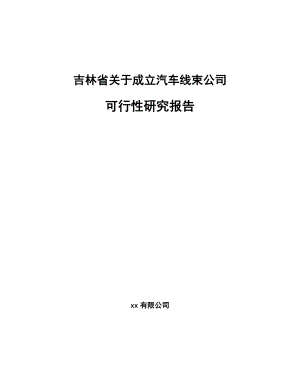 吉林省关于成立汽车线束公司可行性研究报告.docx