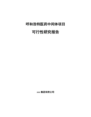 呼和浩特医药中间体项目可行性研究报告.docx