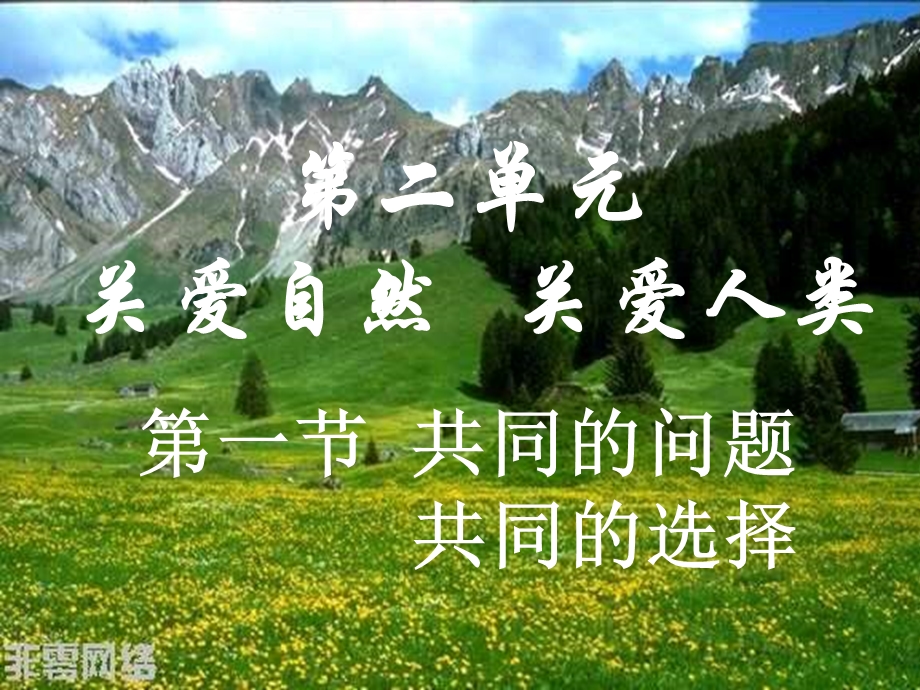 第二单元第一节共同问题共同选择.ppt_第1页