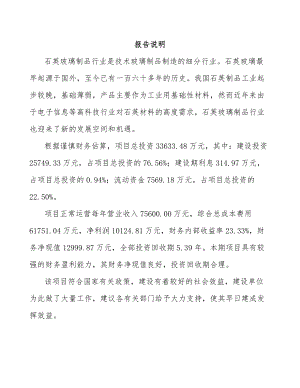 周口石英玻璃制品项目可行性研究报告.docx