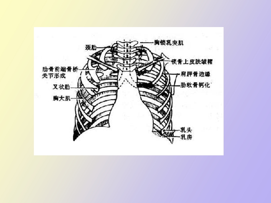 影像学正常与基本病变.ppt_第3页