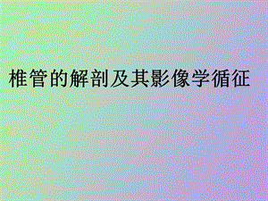 椎管的解剖及其影像学循征.ppt