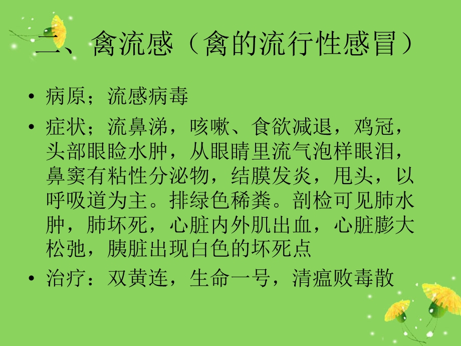 禽病—鸡病常见临床病症诊断.ppt_第3页