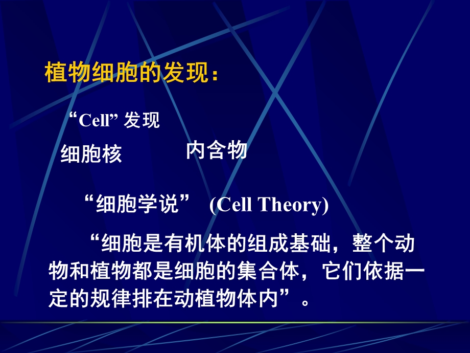 植物细胞的形态和基本结构.ppt_第2页