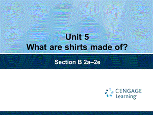 最新人教版九年级英语Unit5SectionB2a-2e.ppt