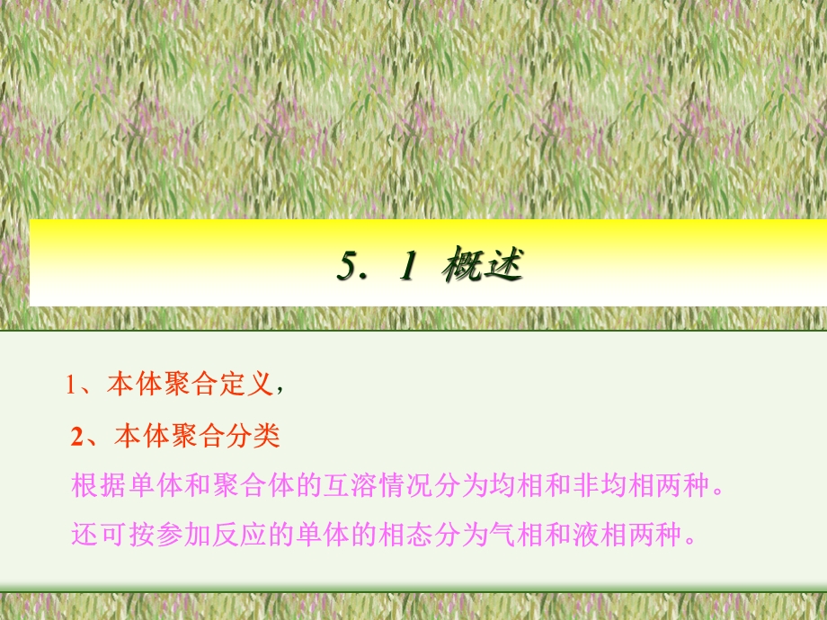 五章节本体聚合生产工艺.ppt_第2页