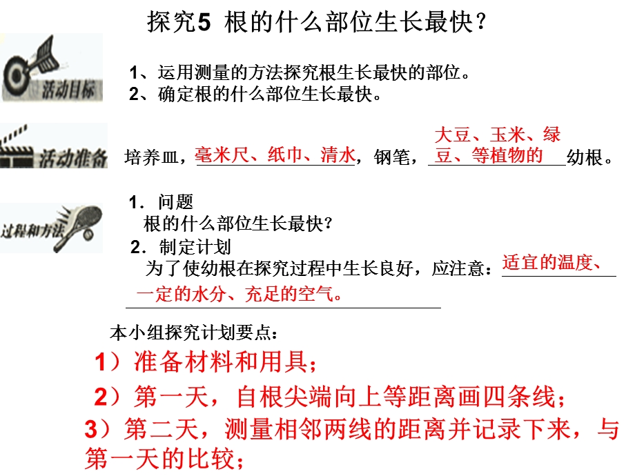 植株的生长PPT.ppt_第3页