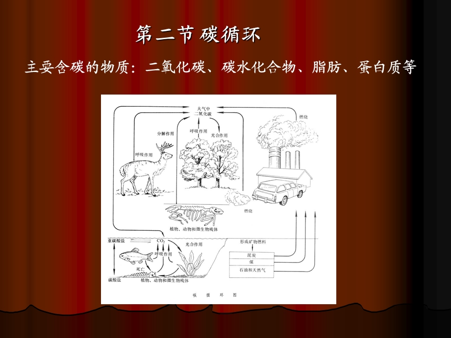 微生物对污染物的分解与转化.ppt_第3页