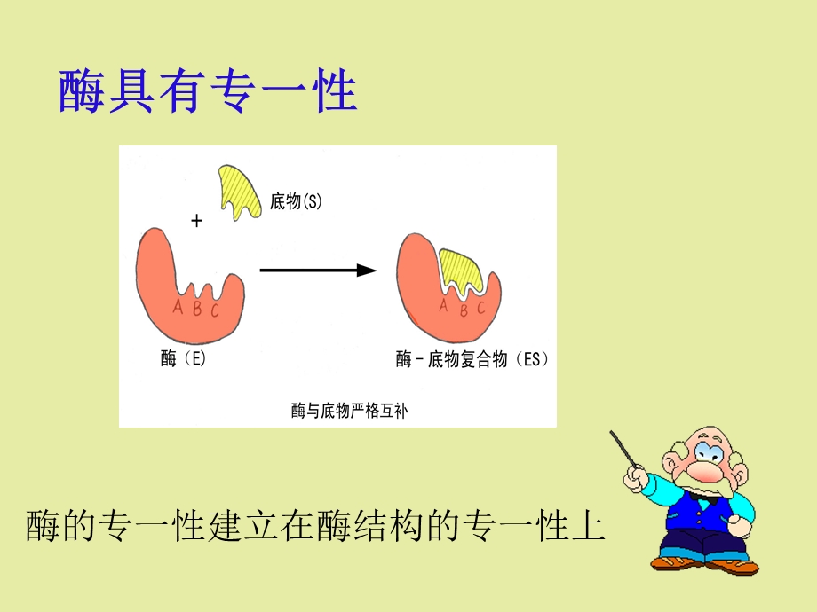 影响酶活性的因素.ppt_第3页