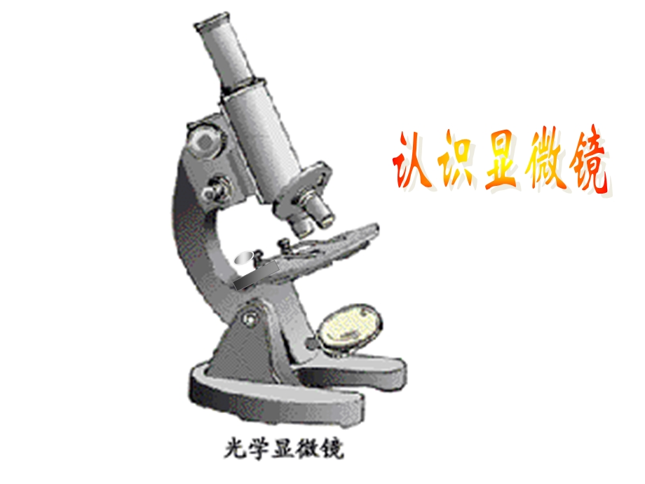 总复习1：显微镜的正确使用.ppt_第3页