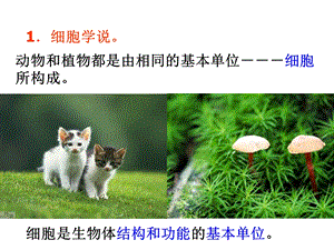 总复习1：显微镜的正确使用.ppt