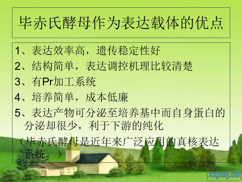 毕赤酵母的基因表达及其初步纯化.ppt_第2页