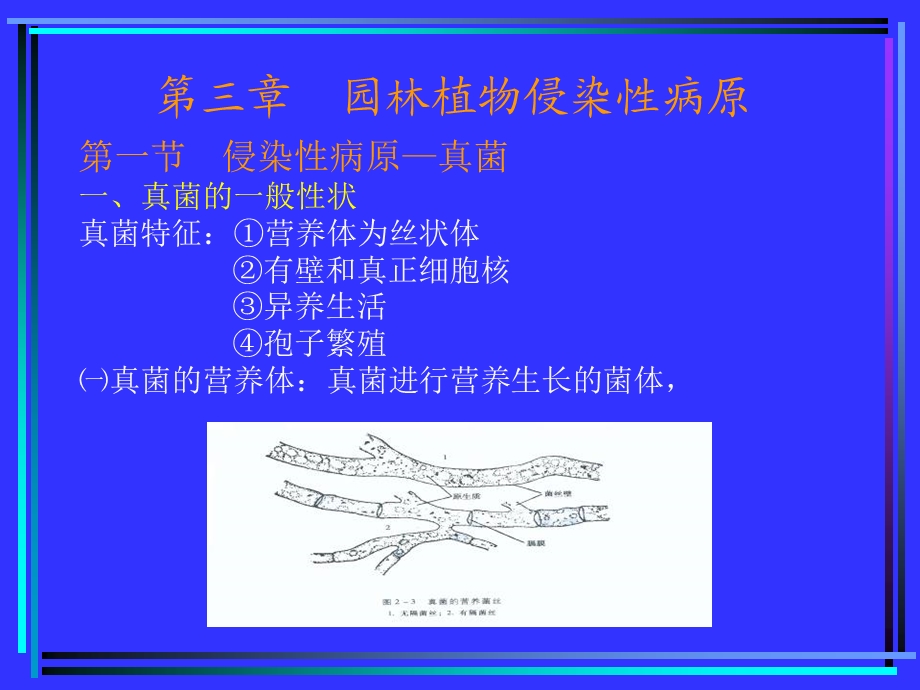 园林植物保护学-园林植物侵染性病原.ppt_第2页