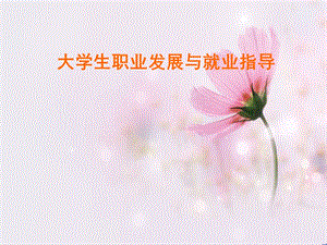 创业教育职场适应权益保护.ppt