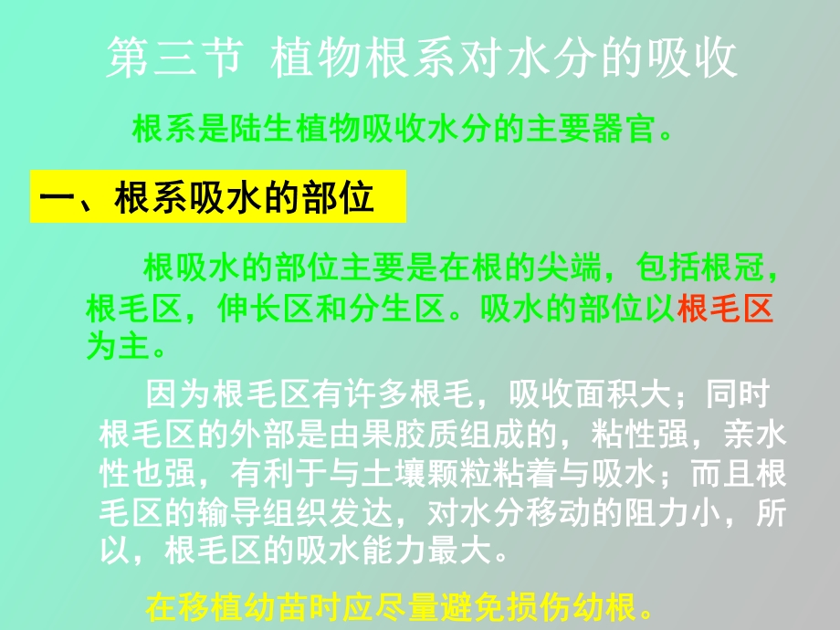 植物的水分代谢.ppt_第1页