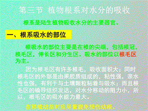 植物的水分代谢.ppt