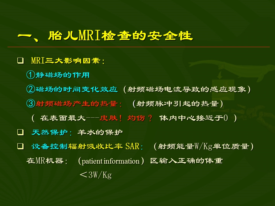 胎儿腹部MRI在腹部与盆腔中的临床应用及评价.ppt_第3页