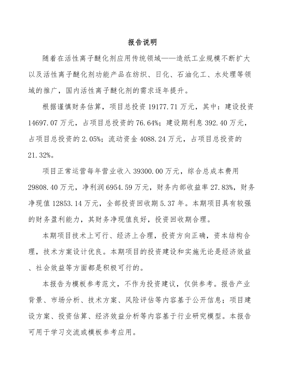 启东阳离子醚化剂项目可行性研究报告.docx_第2页