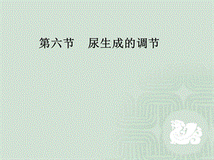 第八章泌尿调节.ppt