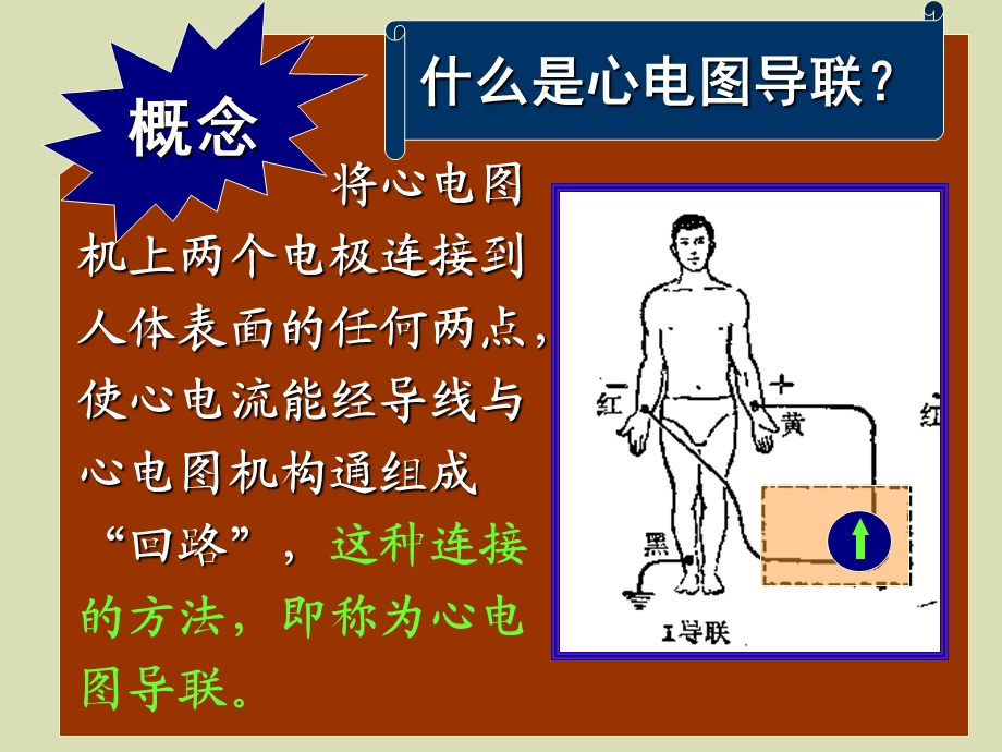 心电图导联体系.ppt_第2页