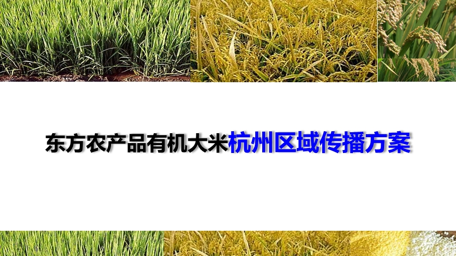 有机大米区域推广方案草案.ppt_第1页