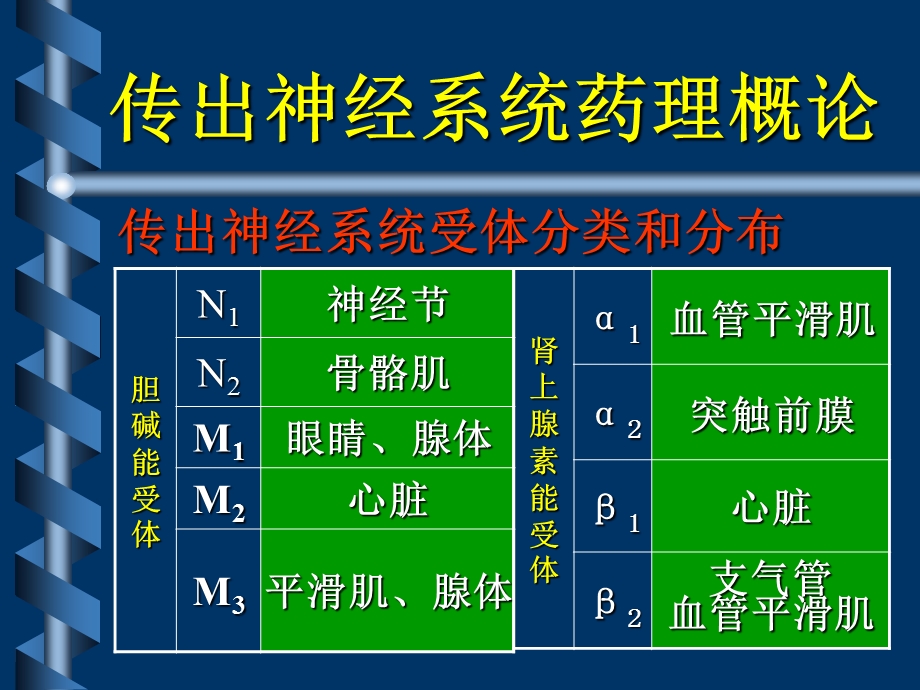 沈大医院传出神经系统药理.ppt_第3页