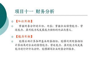 项目十一财务分析.ppt