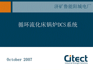 循环流化床锅炉DCS系统.ppt