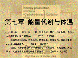 生理学课件 第07章能量代谢与体温 临床医学 认为第八版.ppt