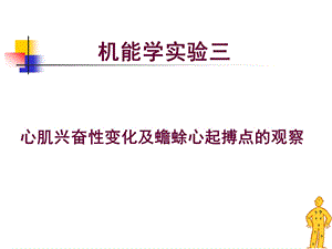 蛙心实验.ppt