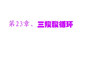 第23章三羧酸循环.ppt