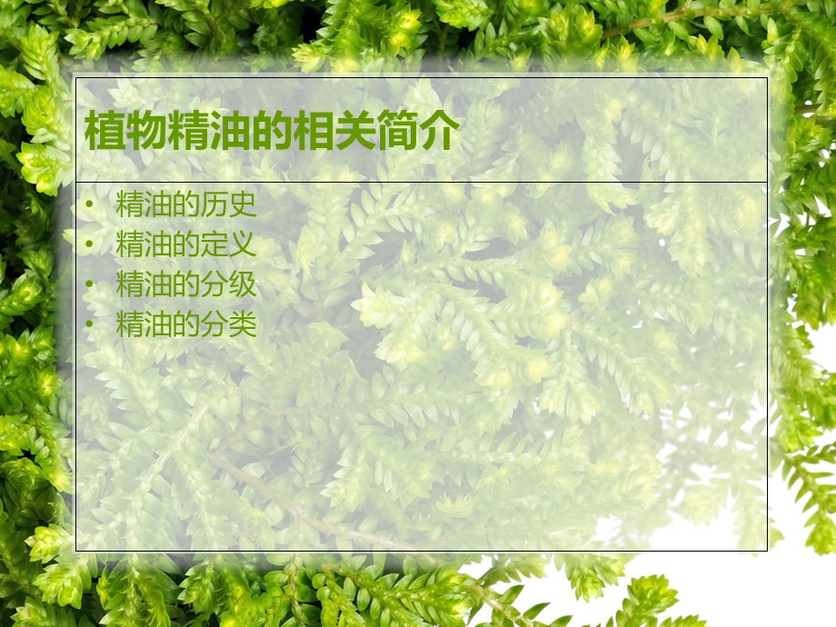 植物精油提取与深加工.ppt_第2页