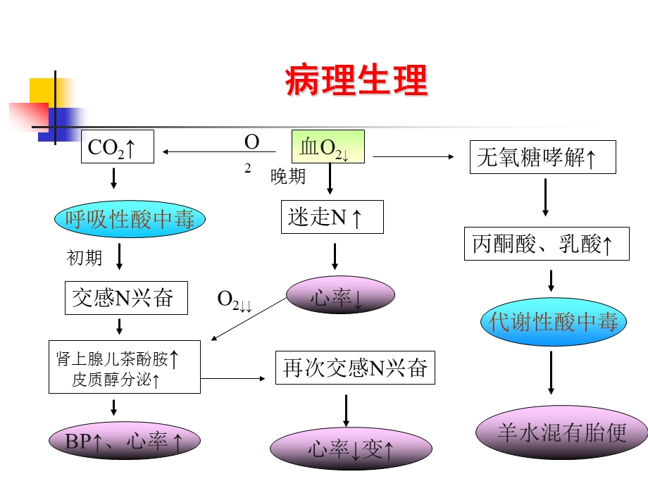 胎儿窘迫ppt课件.ppt_第3页