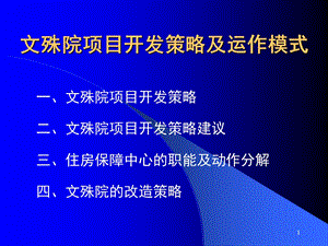 文殊院项目开发策略及运作模式.ppt