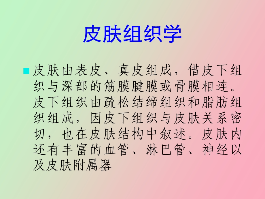 正常皮肤组织学.ppt_第2页