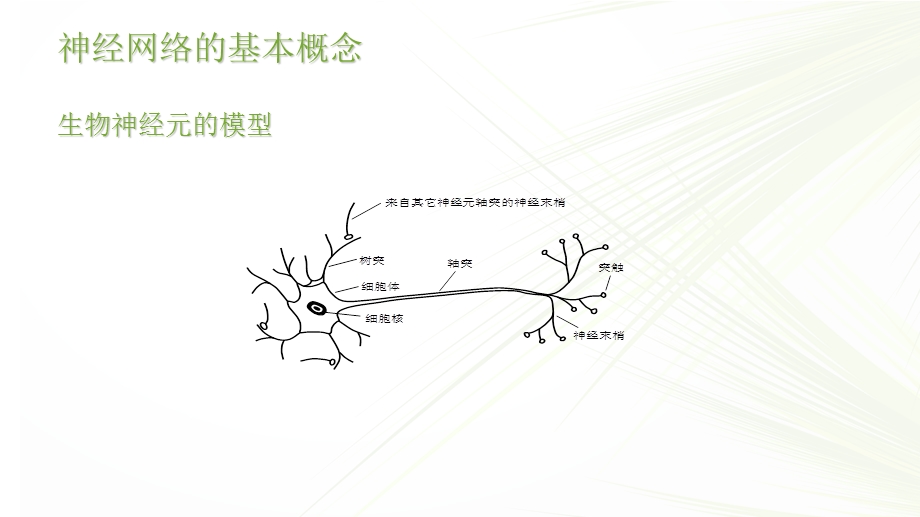 机器学习算法之神经网络.ppt_第3页