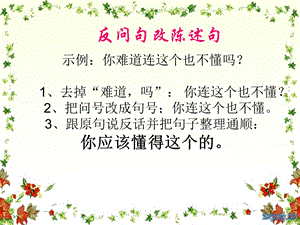 句子的复习(句型转换)ppt.ppt