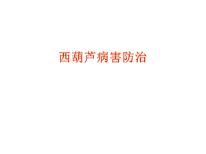 西葫芦病害防治.ppt