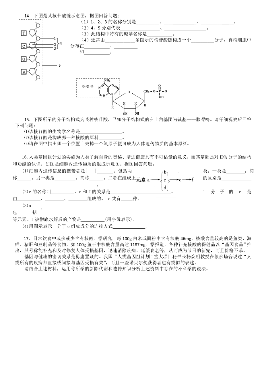 2.3遗传信息的携带者核酸导学案夏炎.doc_第3页