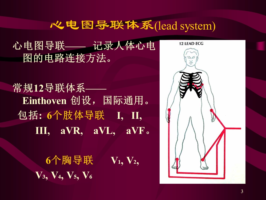 心电图心电向量与心肌缺血.ppt_第3页