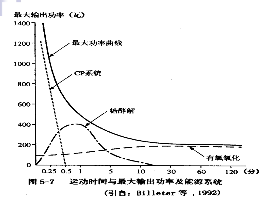 有氧运动的理论与实践.ppt_第3页