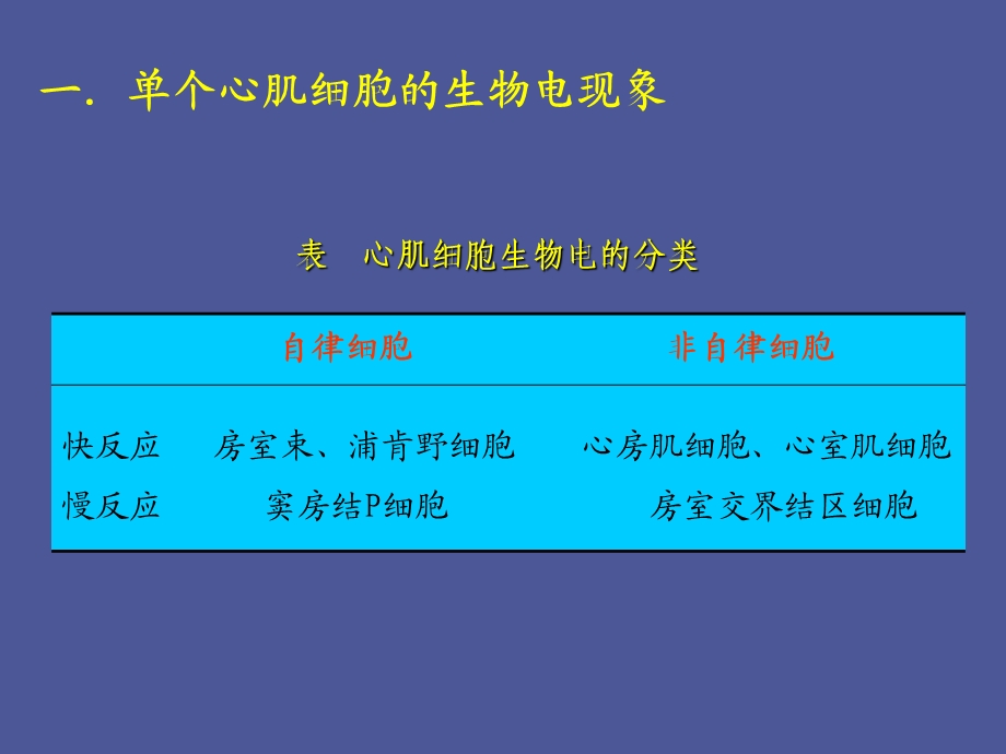 心肌生物电血管生理.ppt_第2页