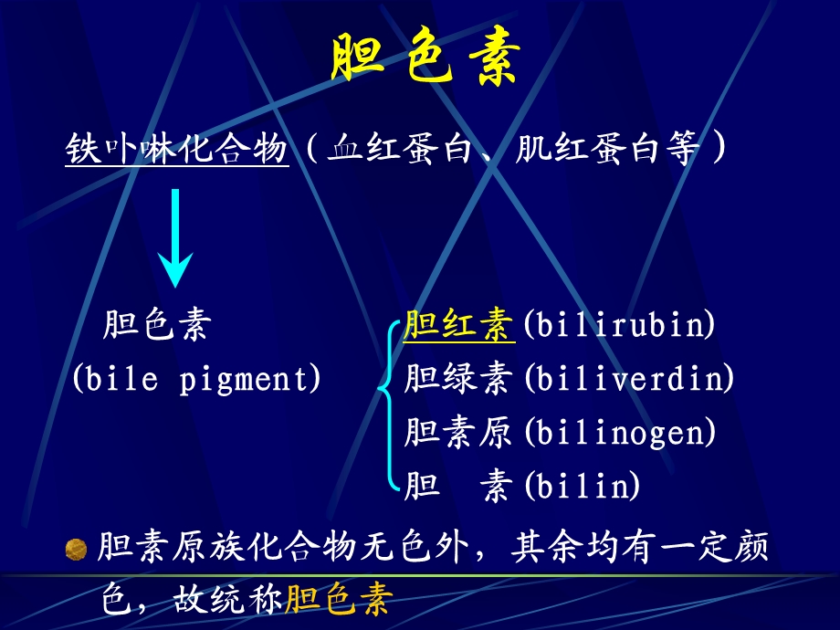 第四节胆色素代谢.ppt_第2页