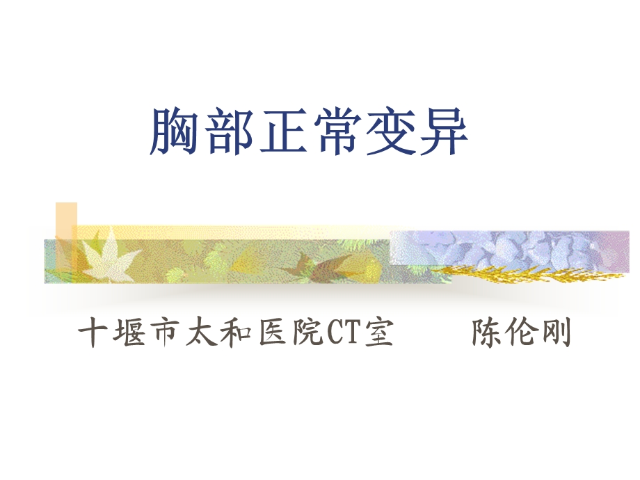 胸部正常变异.ppt_第1页