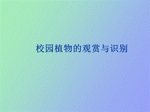 校园植物观赏与识别.ppt