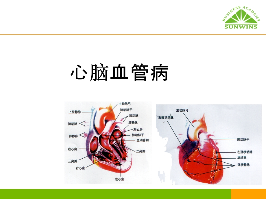 心脑血管病.ppt_第1页